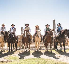 Fort Worth Herd