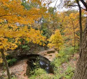 Fall