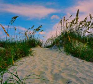 Golden Isles beach