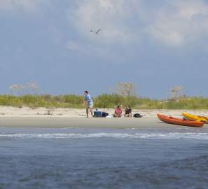 Kayaking in the Golden Isles