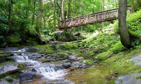 Bridge over a creek in the Cherokee National Forest
