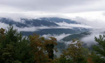 Fog along the treetops at Frozen Head State Park