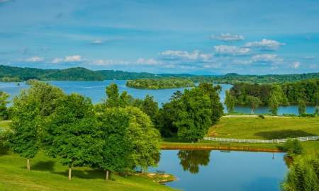 Aerial view of waterway and trees at Watts Bar Lake