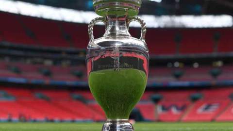 A championship cup set on a football pitch