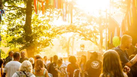 Mostly Jazz, Funk & Soul Festival