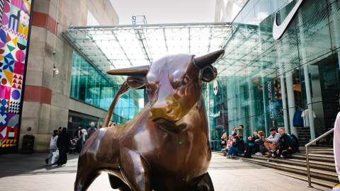 Only Here Bull