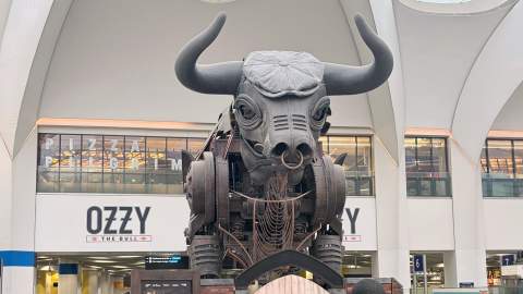 Only Here Ozzy Bull Cap 2