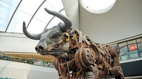 Ozzy the Bull