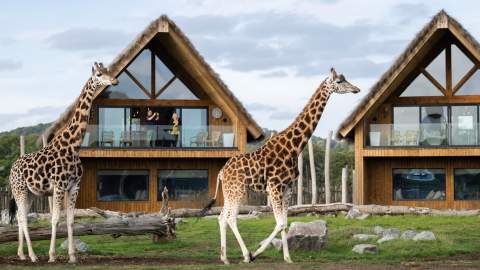 WMSP