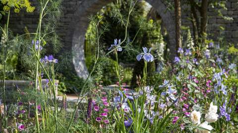 RHS Badminton Flower Show