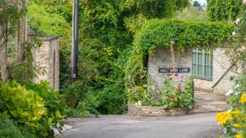 Woodstock street in the summer