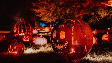Halloween at Blenheim Castle - image is set in darkness, with orange uplighters and light orange pumpkins. The pumpkins have carved faces