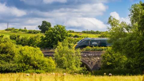 A train travels  through the Cotswolds past trees and fields where sheep graze