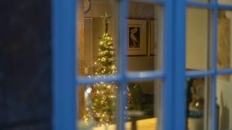 A Christmas tree glows with fairy lights through a cottage window