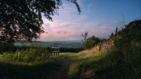 View down a gently sloping footpath with a stone wall on the right and great view ahead