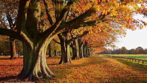 Step into Autumn – local walks in Coventry