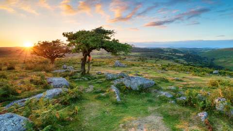 dartmoor blog