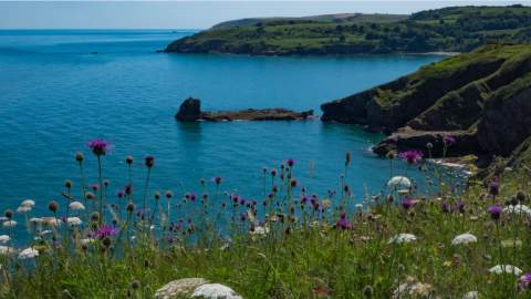Berry Head English Riviera Geopark