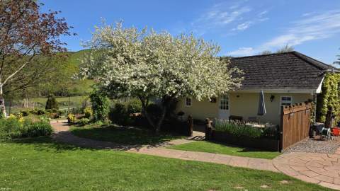 A charming cottage with a sloped roof surrounded by lush greenery. A blossoming tree shades the yard, and a clear blue sky enhances the tranquil setting.