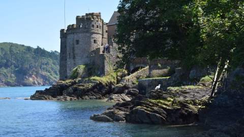 A stone castle sits by a rocky shoreline, surrounded by lush greenery. A seagull perches nearby, with calm blue water and distant hills visible.