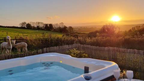 Sunset over a rural landscape with a hot tub in the foreground, alpacas grazing in a grassy field, and trees silhouetted against the vibrant sky.