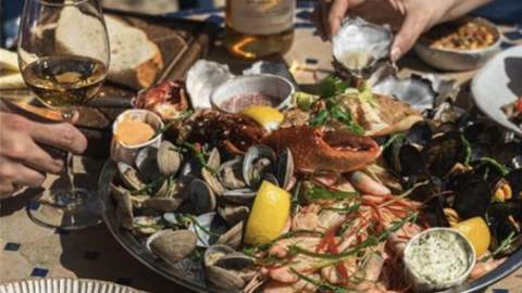 A seafood platter with clams, mussels, prawns, and lemon wedges on a sunny table. Hands holding a wine glass and squeezing lemon over an oyster.