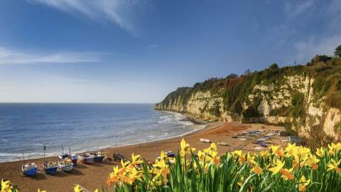 Spring in Devon