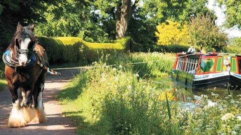 Things to do in Mid Devon this spring
