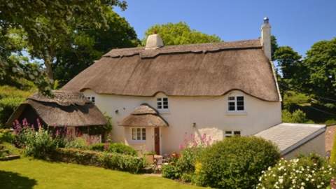 toad hall