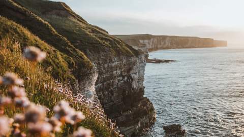 A panoramic view of the East Yorkshire coast at Bempton Cliffs