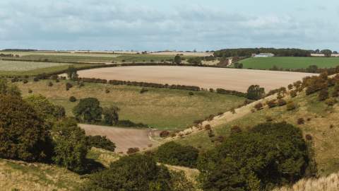 A view across the rolling hills of the Yorkshire Wolds in East Yorkshire.