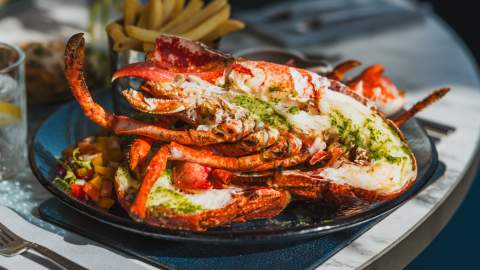 A plated dish of fresh Bridlington Bay Lobster ready to enjoy at Salt on the Harbour.