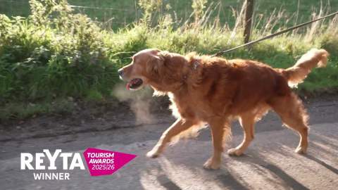 REYTAs 2025: Walking the Wolds