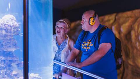 Visitors observing a large illuminated aquarium tank at The Deep in Hull, watching marine life up close in the dimly lit exhibit area.