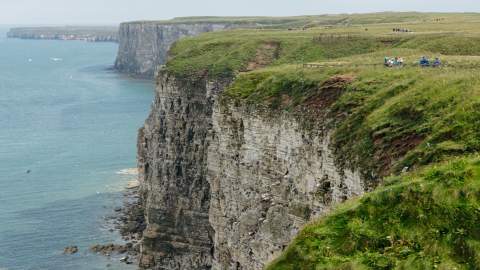 Bempton Cliffs