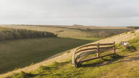 Wolds