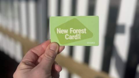 New Forest Card 2025