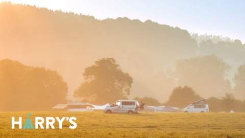 Harry's Field Logo on Pic
