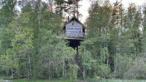 Tretopphytter på Grensen - beverhytta fra utsiden