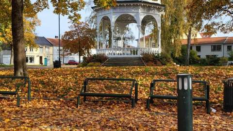 Høst i Busterudparken