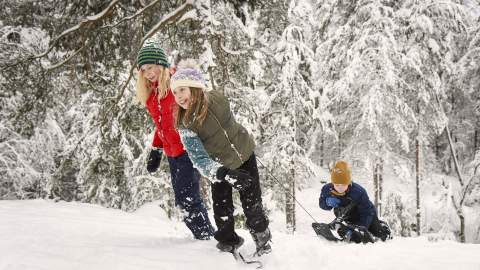 Barn som leker i snøen i Mossemarka i Moss