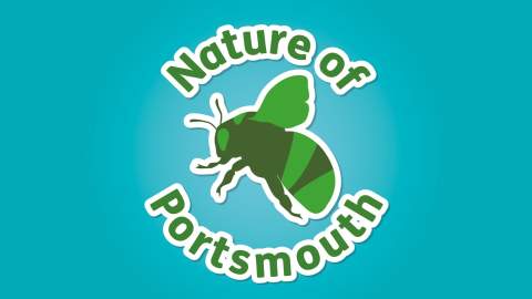 Nature of Portsmouth