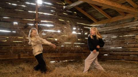 De heibergske samlinger - Sogn Folkemuseum