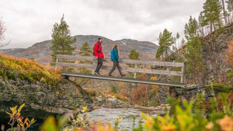 Explore season