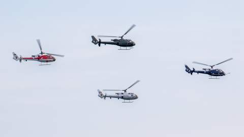 Gazelle Squadron
