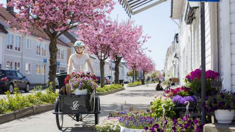 Blomstring i Posebyen