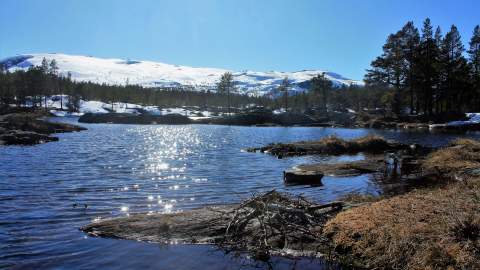 River and mountain landscape in spring time with melting snow
