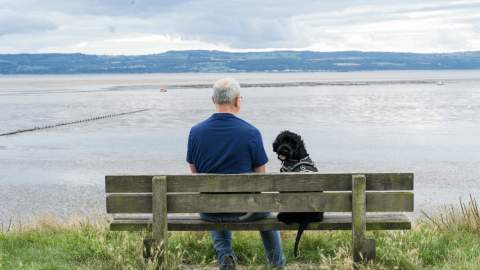 A man and dog sit on a bench looking out to sea