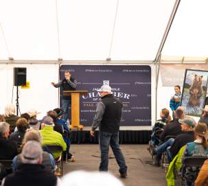 Jackson Hole QuickDraw Auction