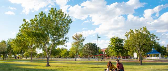 Best Spots for a Picnic in Chandler, Arizona